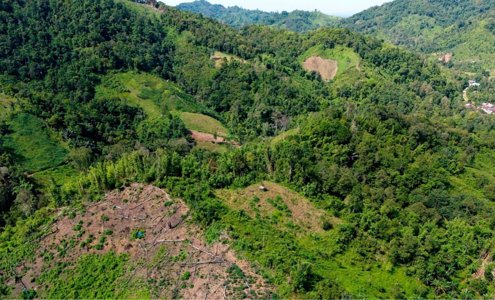 Έρευνα: €6,12 τρισ. εκτεθειμένα σε Nature Risk – Μόλις 1% των εισηγμένων συμπεριλαμβάνει τη βιοποικιλότητα στα reports
