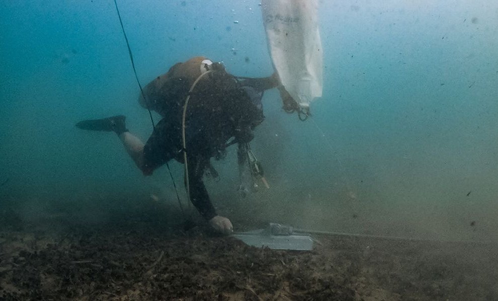 Τι τρέχει με τα λιβάδια Ποσειδωνίας στο Πόρτο Ράφτη; - Νέα δράση σύμπραξης δημοσίου και ιδιωτικού τομέα για καλό σκοπό