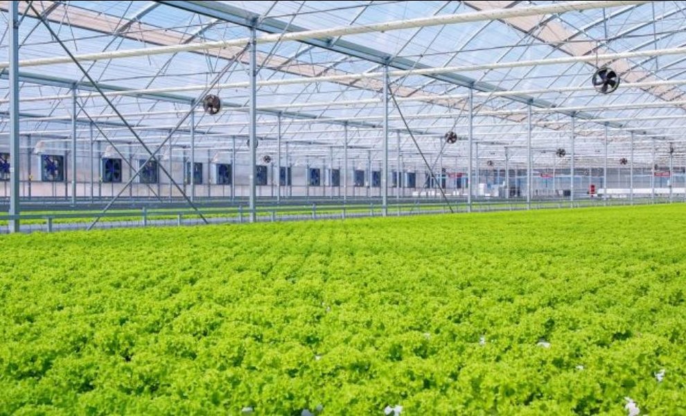 Ένας «Μαγικός Κήπος» για τη βιωσιμότητα στα ράφια των σούπερ μάρκετ 