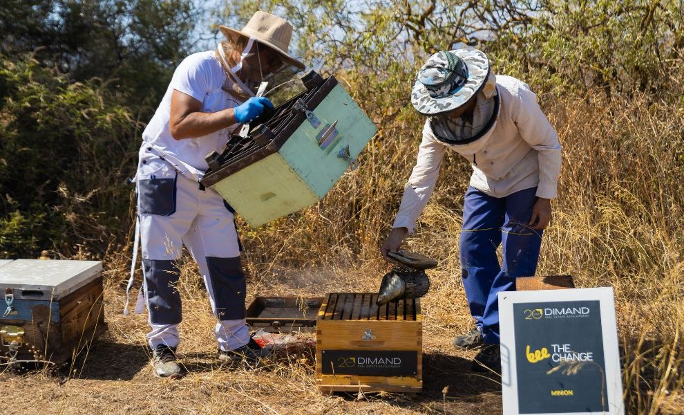 ΜΙΝΙΟΝ: Η αναγέννηση ενός αθηναϊκού συμβόλου – Από την εγκατάλειψη στις πράσινες ταράτσες με… μέλισσες
