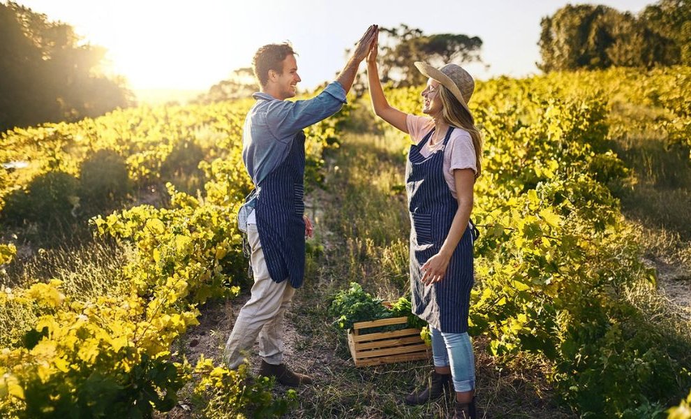 Lidl Ελλάς: Πρωταγωνιστής στην προστασία του πλανήτη