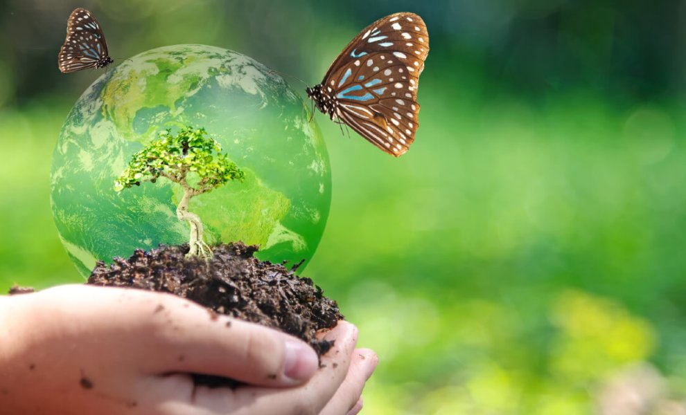 Έχει λήξει η συζήτηση για την αξία της βιωσιμότητας;