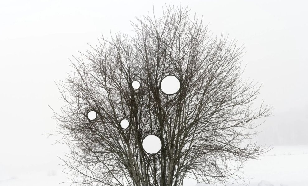 Καλλιτεχνική εγκατάσταση «Climate Clock» φέρνει τα μηνύματα της κλιματικής αλλαγής στο δάσος