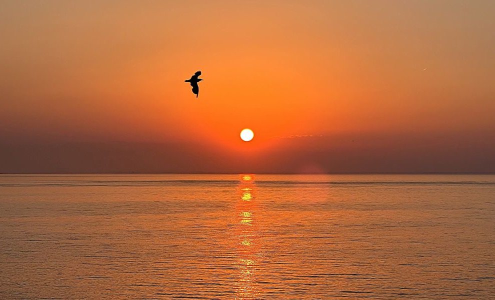 Energean: Όταν η φροντίδα για τον πλανήτη γίνεται μέρος ενός ETHOS!