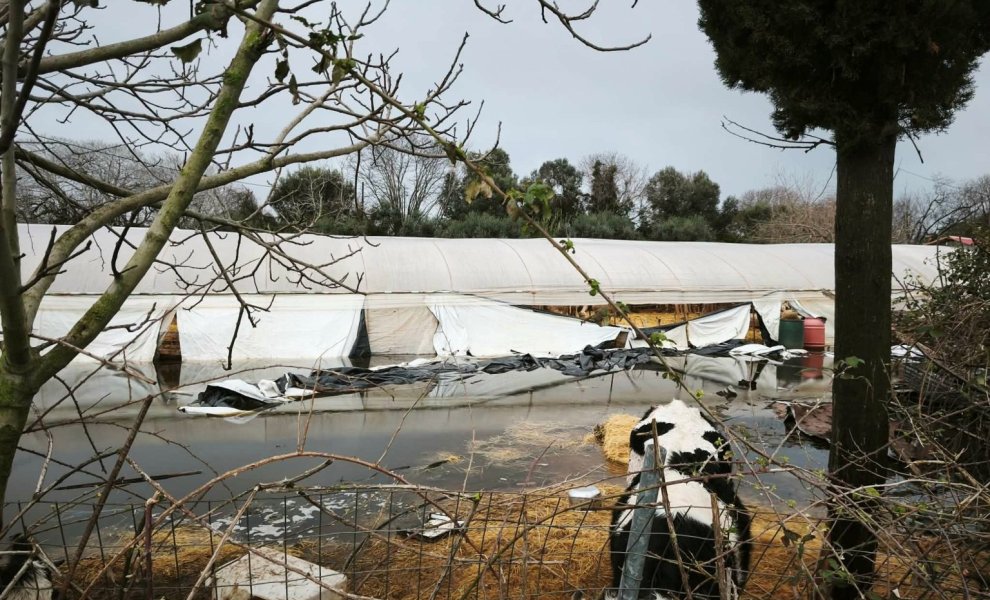 ΕΑΕΕ: Αυξάνεται η συχνότητα και η ένταση των φυσικών καταστροφών στην Ελλάδα