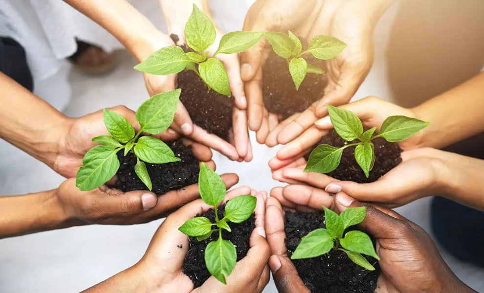 Όταν η βιωσιμότητα γίνεται τρόπος απόφασης