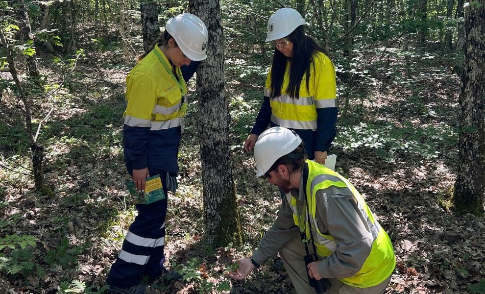 Ελληνικός Χρυσός: Υπεύθυνη μεταλλευτική δραστηριότητα με σεβασμό στη Βιοποικιλότητα 