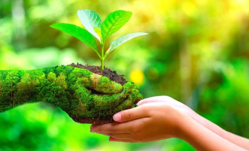 WWF: Οι μεγαλύτερες γαλλικές εταιρείες πολυτελείας δεν είναι έτοιμες για τους κινδύνους της βιοποικιλότητας
