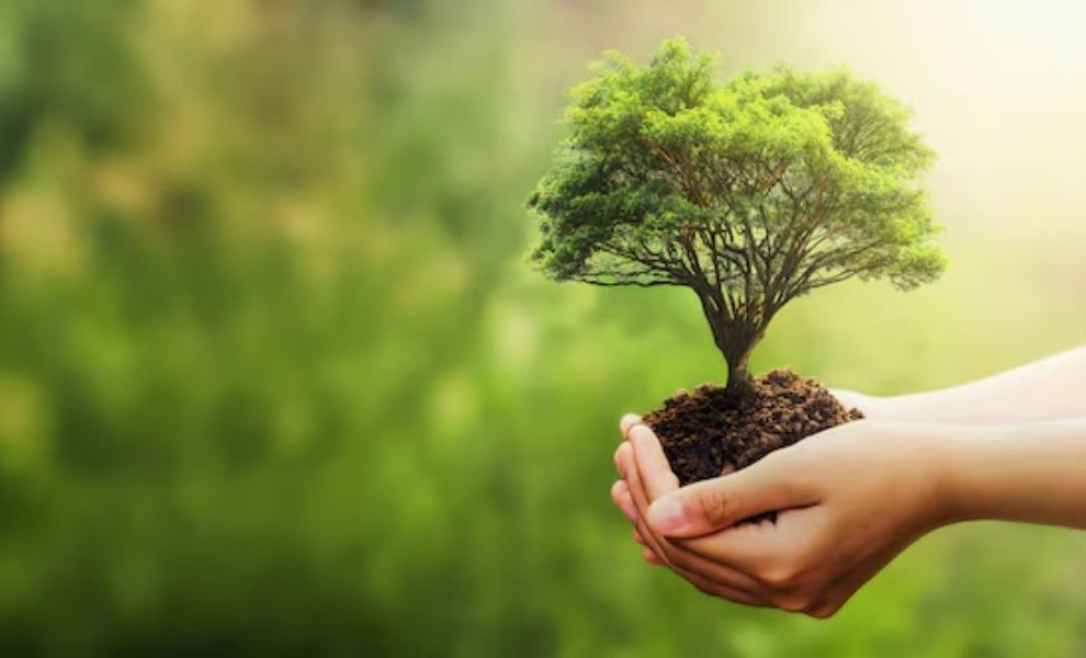 Sustainable Fitch και GGGI: Η χρηματοδότηση της προσαρμογής στην κλιματική αλλαγή παραμένει πολύ πίσω από τις ανάγκες