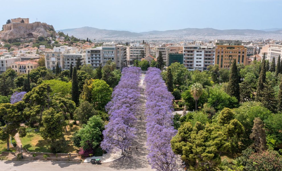 Ο Δήμος Αθηναίων στην παγκόσμια πρωτοβουλία του ΟΗΕ «50 Cities at 50° C»
