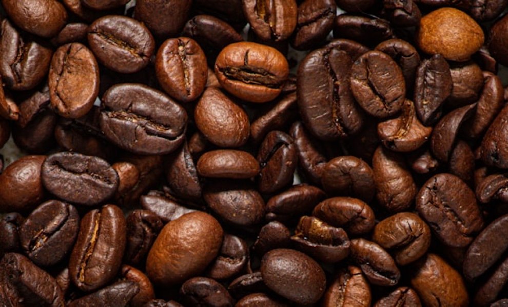 Καφές robusta: Νέα μελέτη αμφισβητεί την ανθεκτικότητά του στην κλιματική αλλαγή