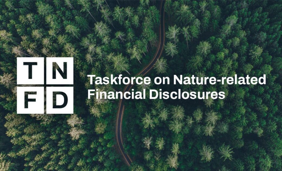 TNFD: Διπλασιάστηκαν οι οργανισμοί με nature-related disclosures – Πάνω από 70% ζητά υποχρεωτικό reporting