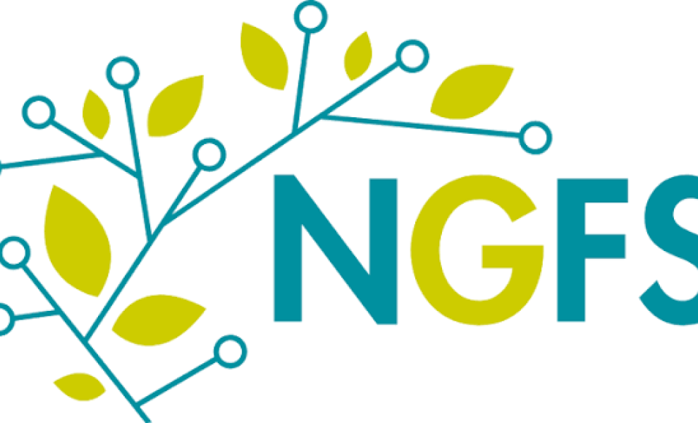 NGFS: Κλιματικοί και nature-related κίνδυνοι περνούν στον πυρήνα της τραπεζικής εποπτείας