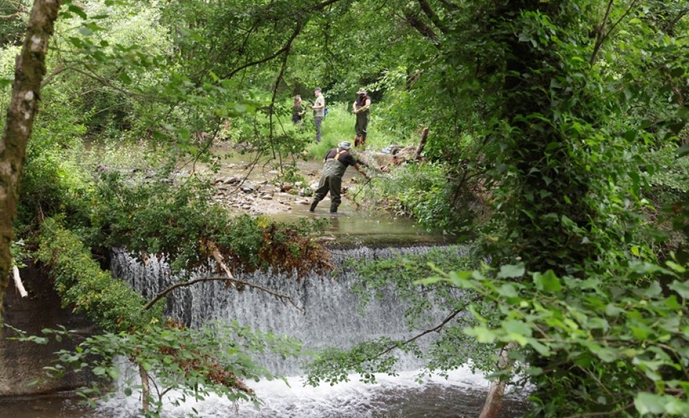 Ημέρα Απομάκρυνσης Φραγμών από Ποταμούς: Περισσότερα από 600 εμπόδια αφαιρέθηκαν το 2025 από ποταμούς της Ευρώπης