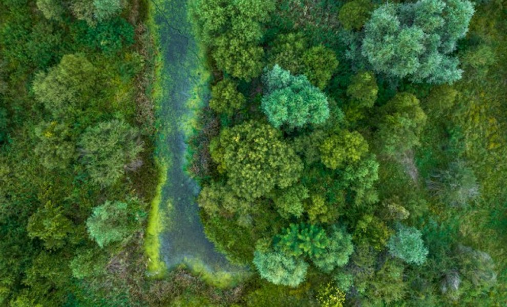 UNEP FI: Η φύση μπαίνει στο underwriting – Νέο Climate-Nature Nexus Atlas