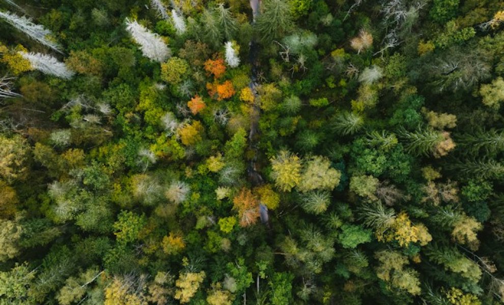 UNEP FI: Οι κλιματικοί και φυσικοί κίνδυνοι περνούν πλέον στους ισολογισμούς