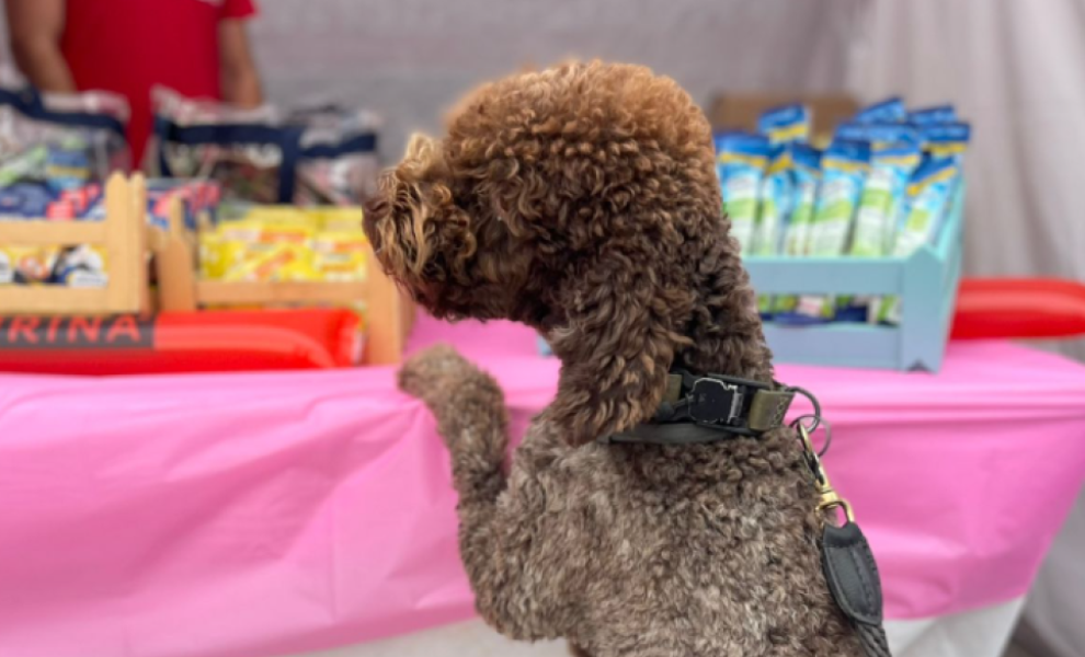 Τρέχουμε για καλό σκοπό: Η Purina® και οι Pet Runners στο φετινό Greece Race for the Cure